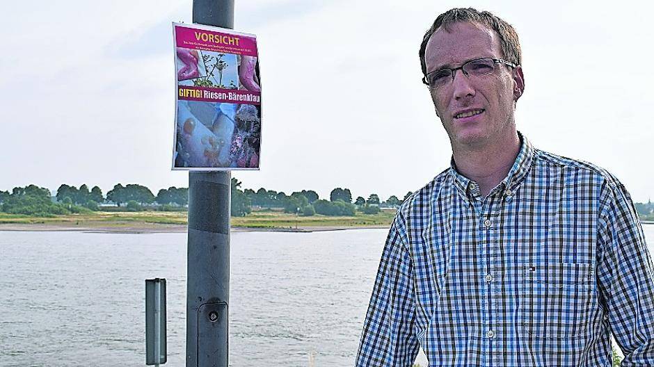 Angst vor giftiger Gefahr am Rhein — Stadt Neuss gibt jetzt Entwarnung