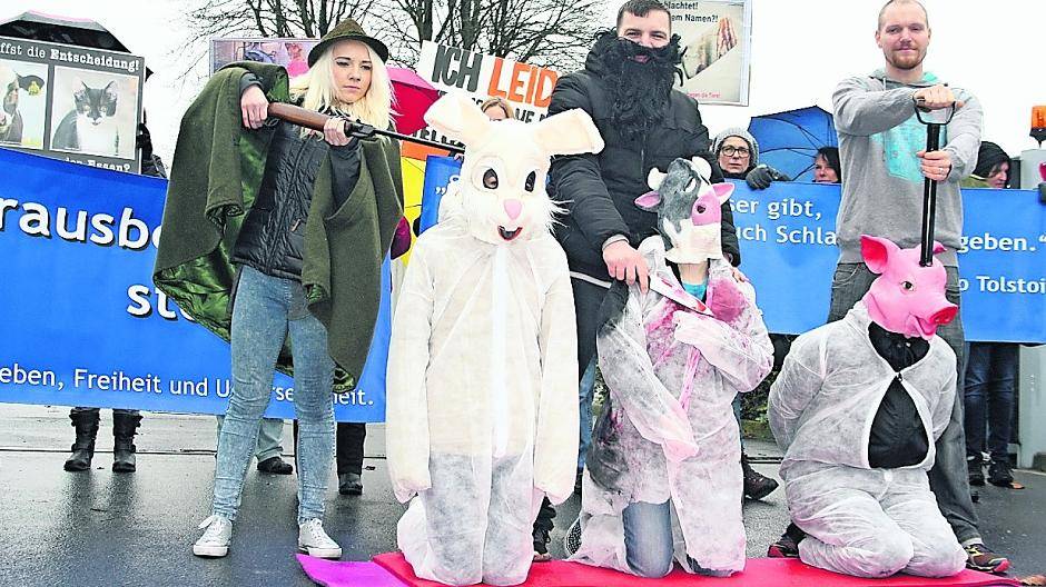 Schlachthof-Protest: Tierfreunde wollen keine Unterstützung aus der „falschen Ecke“