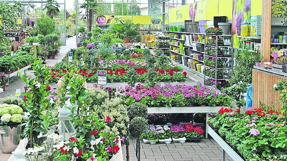 Gartenpflanzen für 500 Euro vom Pflanzencenter Schmitz