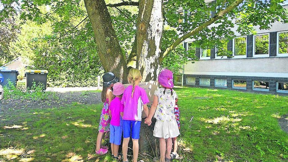 Ein Glück: Ahornbaum vorm Familienzentrum bleibt