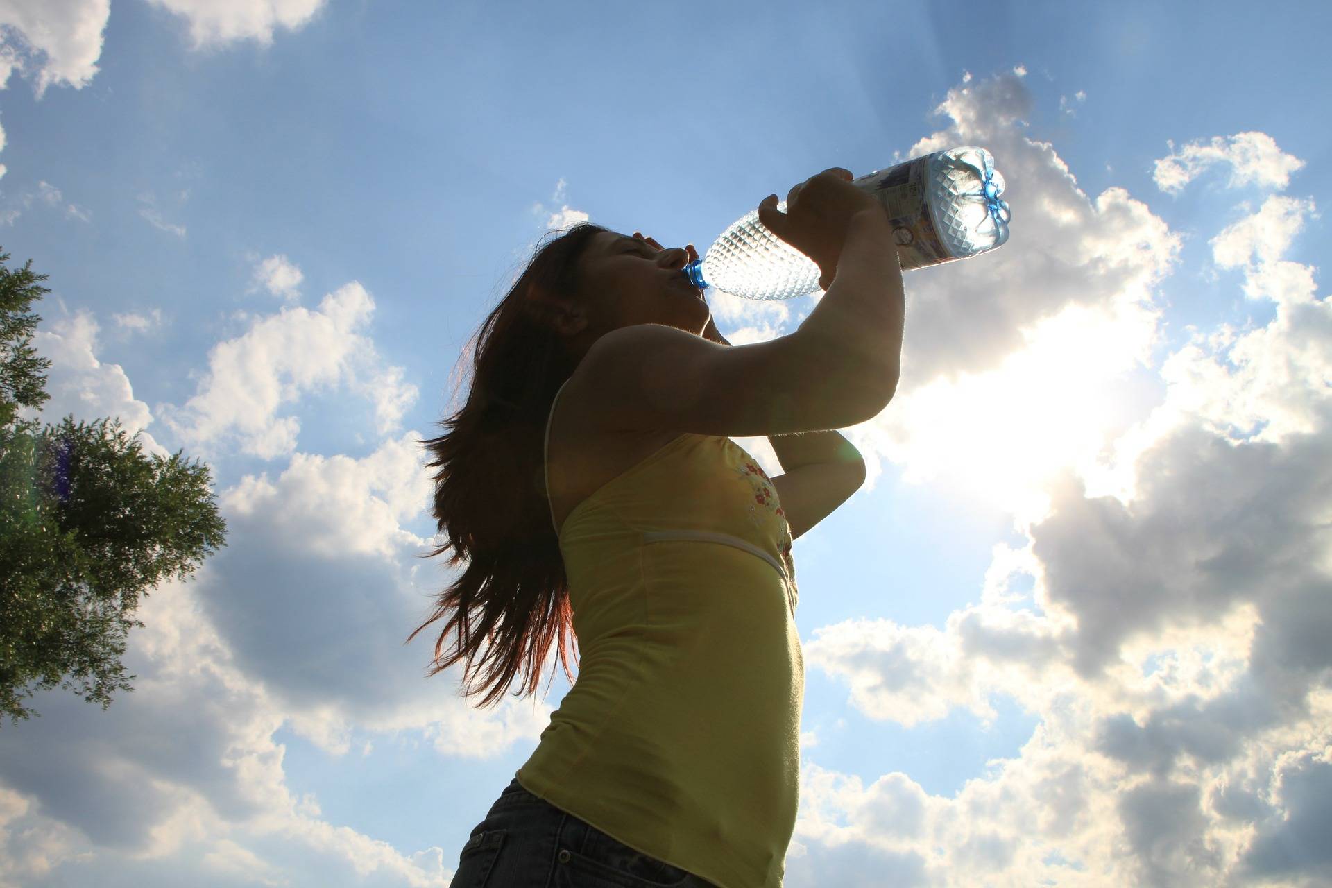  Bei großer Hitze sollte man täglich zwei bis drei Liter Mineralwasser oder kalorienfreie/–arme Getränke wie ungesüßte Früchtetees trinken. 