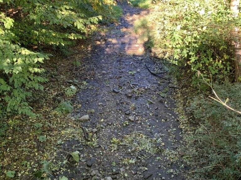  Der Norfbach als Rinnsal: Der Rhein-Kreis findet keine Lösung, immer wieder fällt die Norf trocken. 