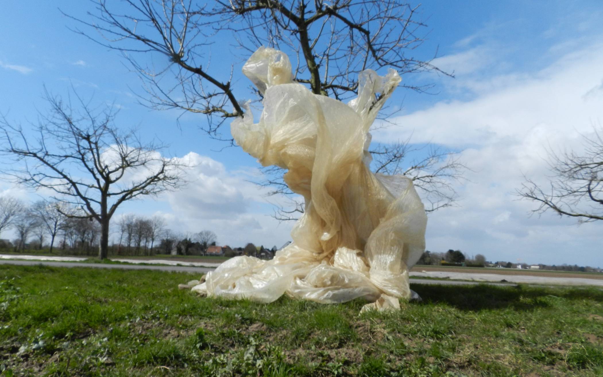 Die Windstärke nimmt zu. Autofahrer sollten