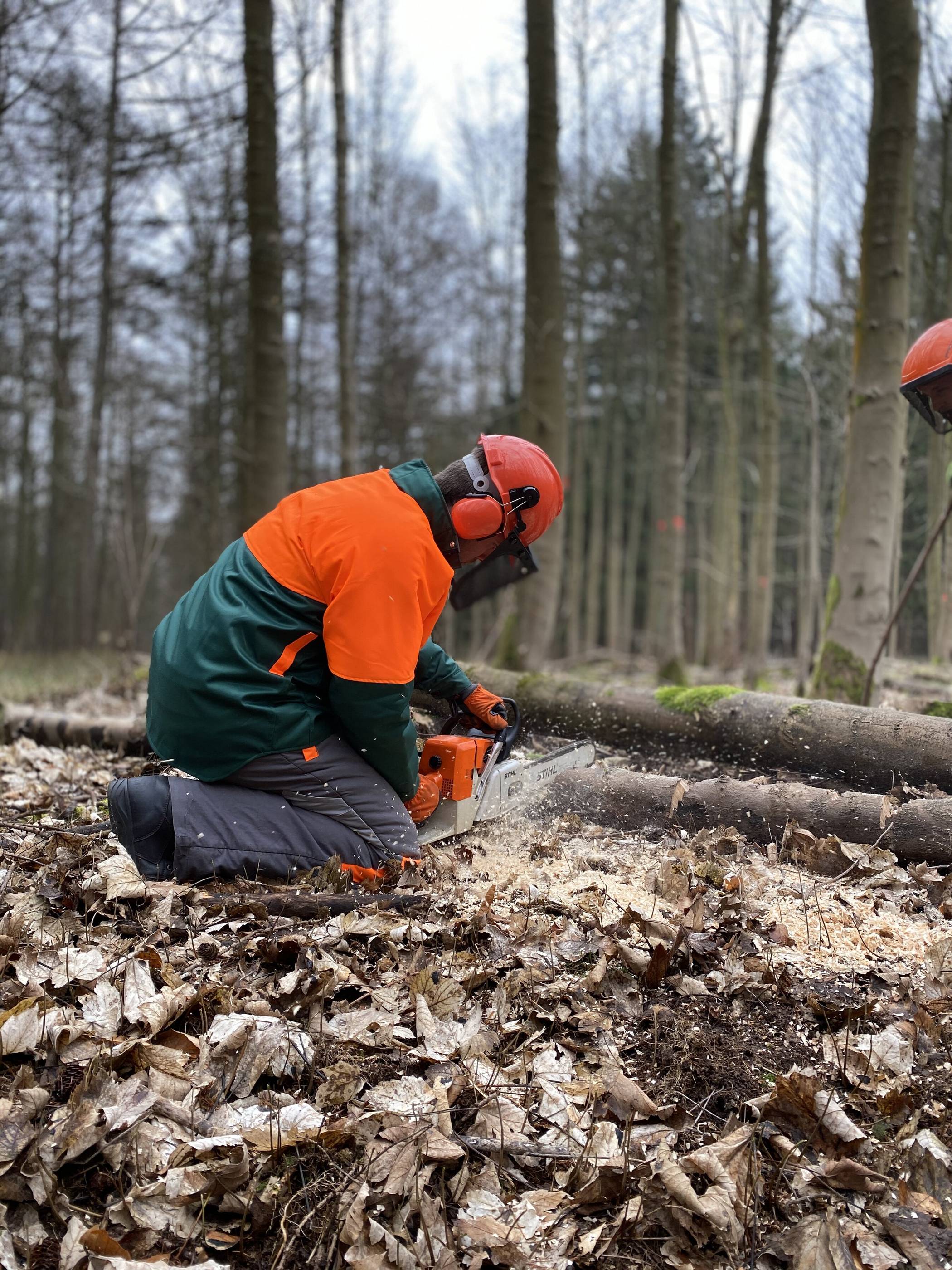  27 Sturm-Einsätze gab es am Donnerstag in Neuss in 24 Stunden.  