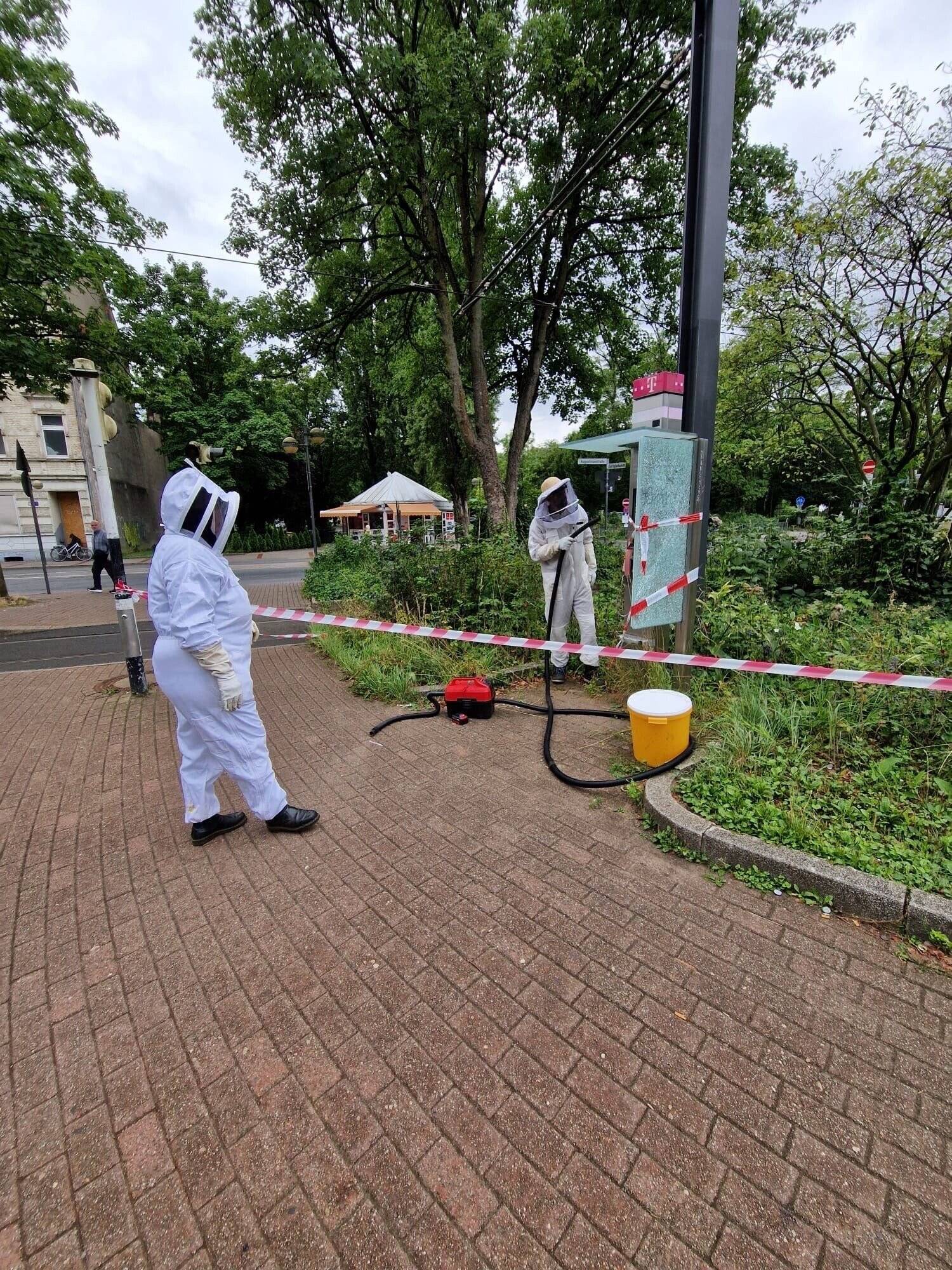 Der Bereich um das Primärnest wurde während der Entfernung abgesperrt, um Passanten zu schützen.