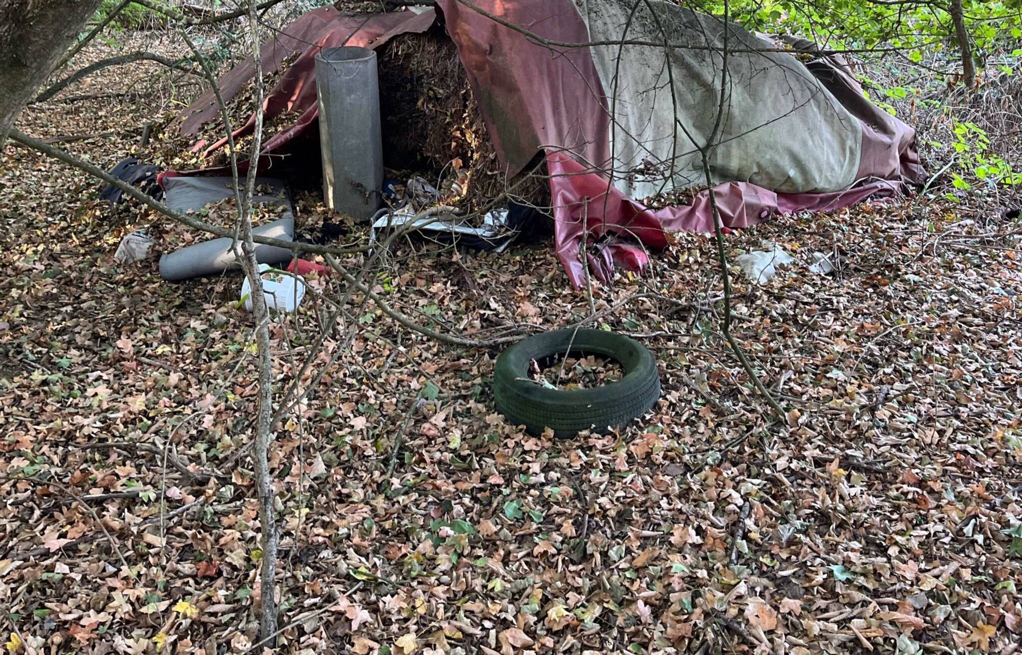 Spaziergänger findet menschliches Skelett im Wald