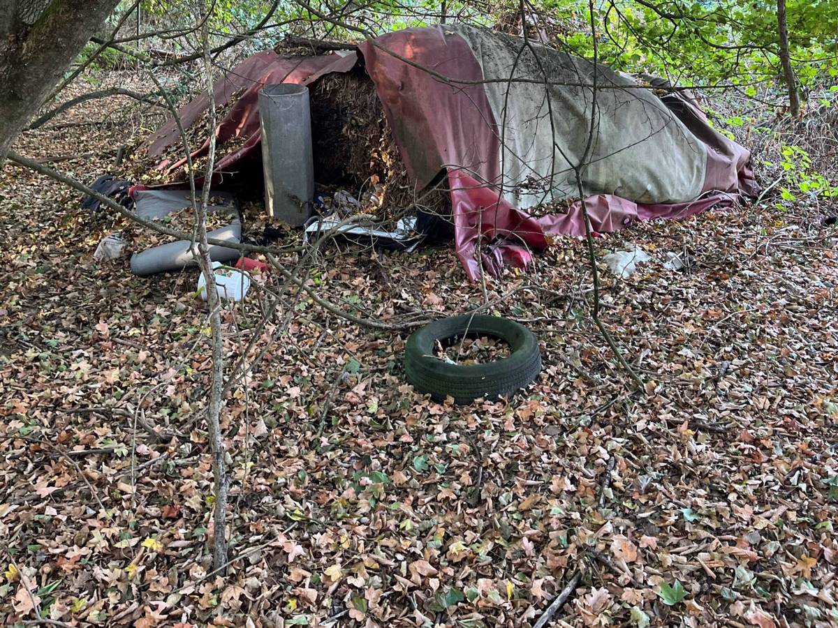 Spaziergänger findet menschliches Skelett im Wald