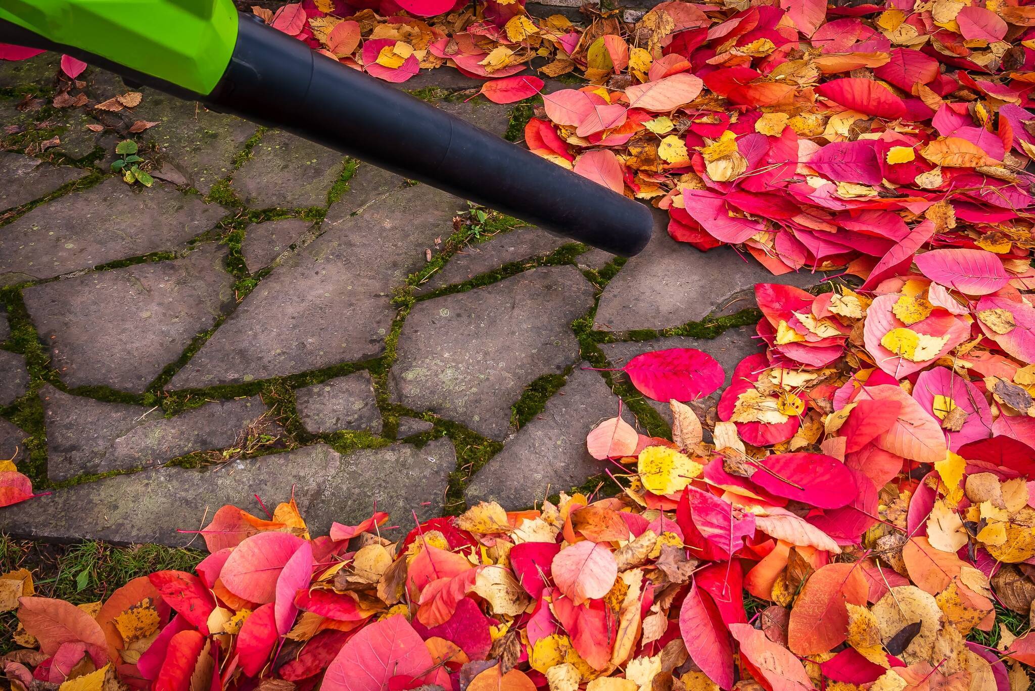  Laubsauger und Laubbläser schädigen Umwelt und Gesundheit und stören den Naturhaushalt. Darauf weist das Amt für Umweltschutz des Rhein-Kreises Neuss hin.    
