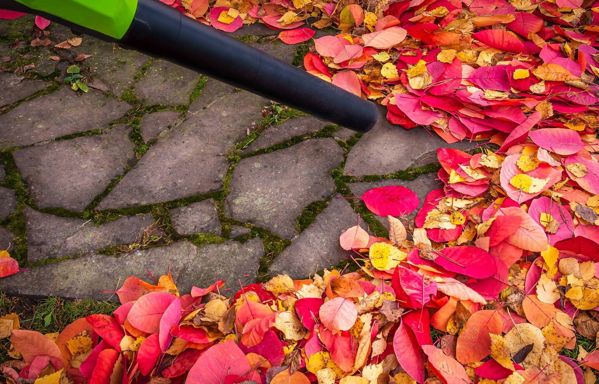 Laubsauger und Laubbläser schädigen Umwelt und