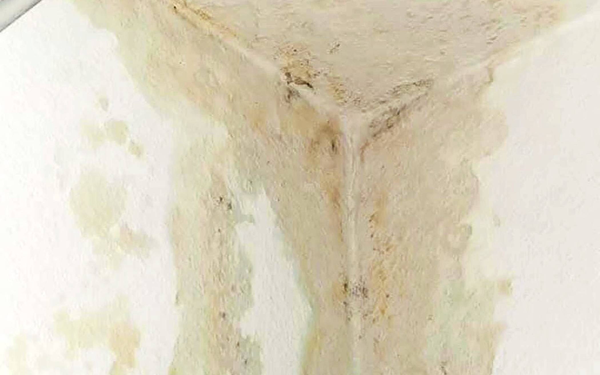 Feuchte Wände und Schimmel: Die LEG spricht von falschem Lüften und Heizen, die Mieter sind anderer Meinung.