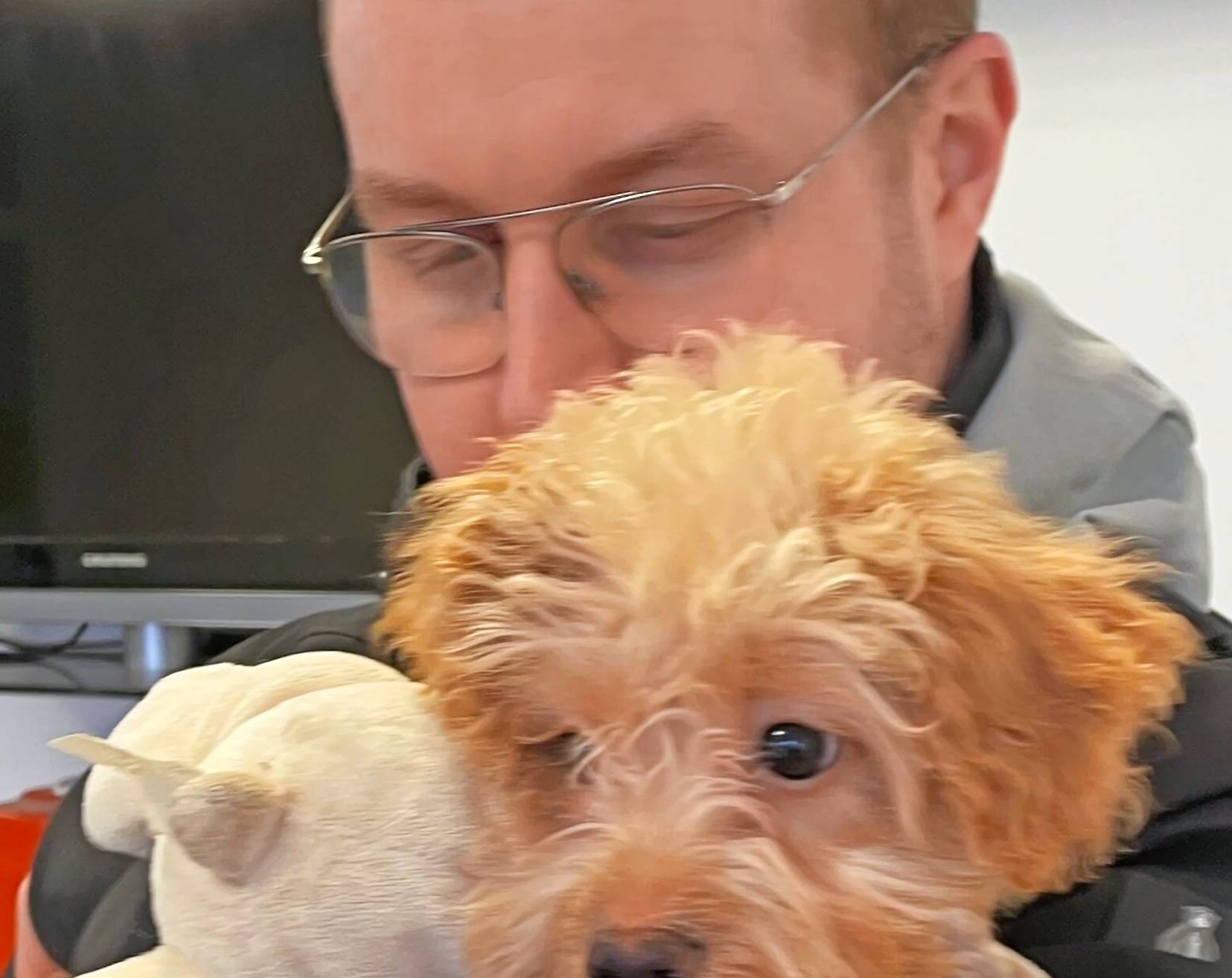 Frühjahrsfest im Tierheim Bettikum