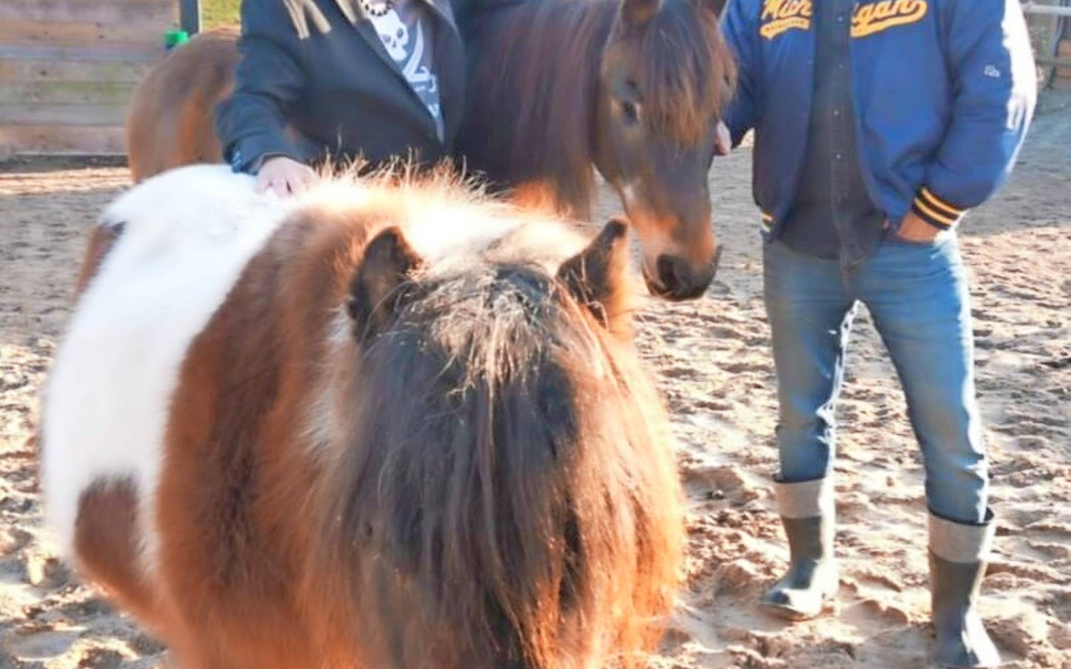 Max und Lou brauchen Hilfe