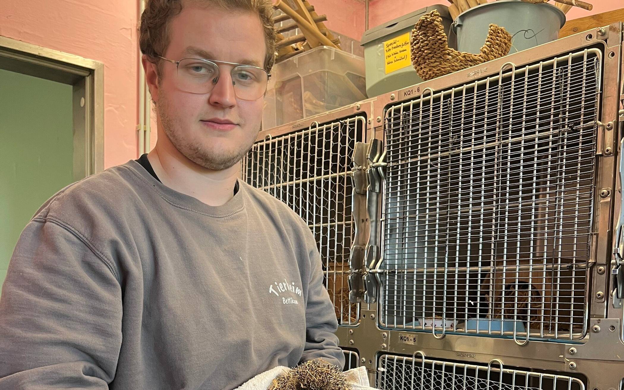 Tierheim Bettikum nimmt schweren Herzens keine Wildtiere mehr auf