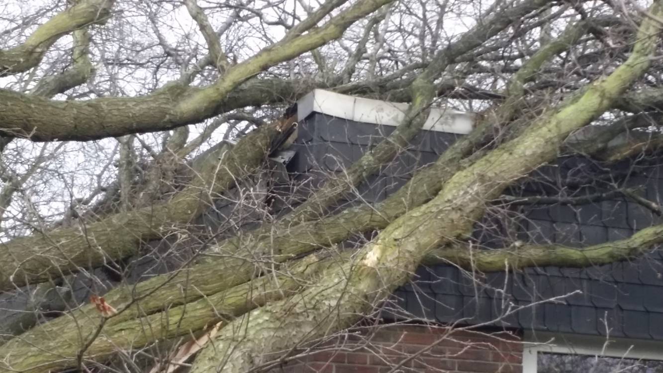Orkan "Friederike" wütete auch in Neuss und Kaarst
