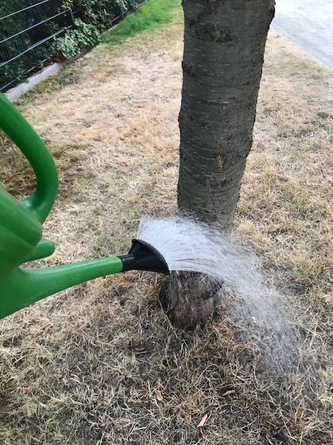  Die Bürger werden gebeten, zu helfen. 