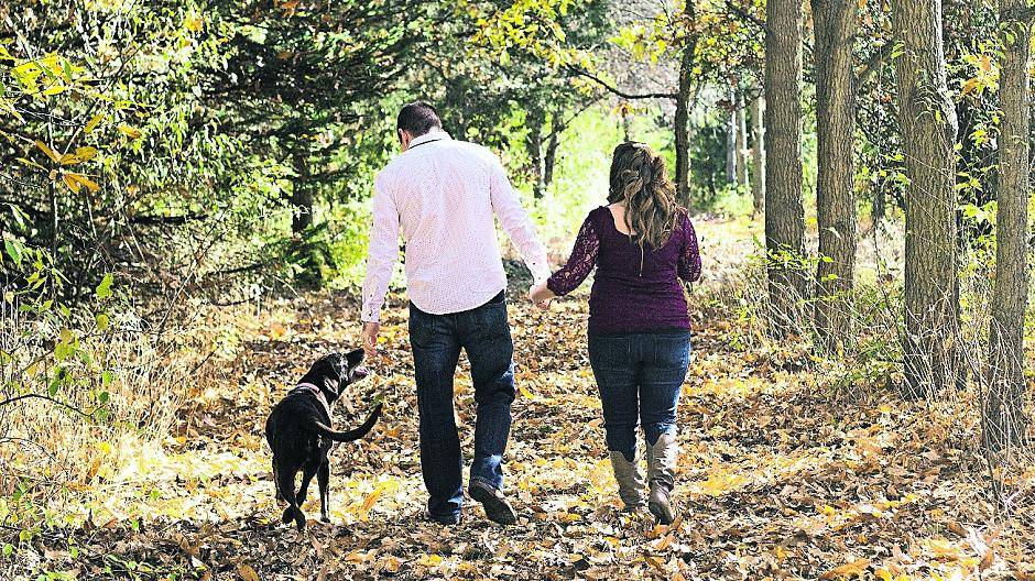 Der Tierschutzverein warnt: Legt ein Hundehasser in Büttgen Giftköder aus?