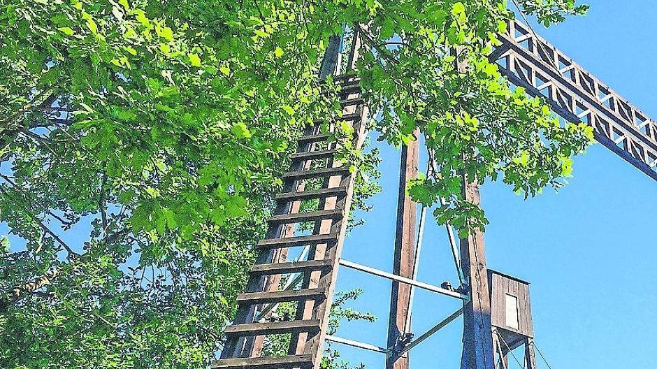  Vor zehn Jahren wurden die „Brücken über den Nordkanal“ aufgestellt — das wird am 18. Mai gefeiert. 