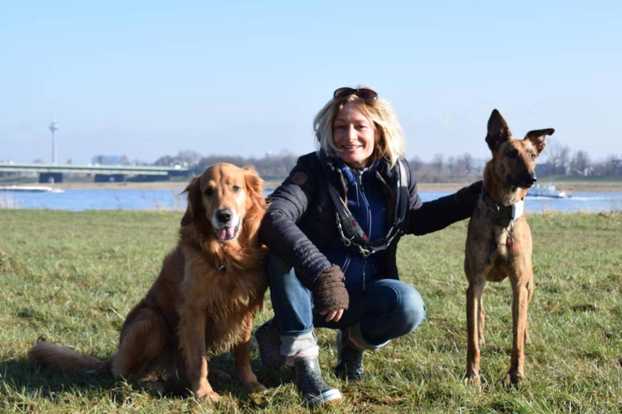 Projekt Superhund: Neusserin sucht heldenhafte Vierbeiner