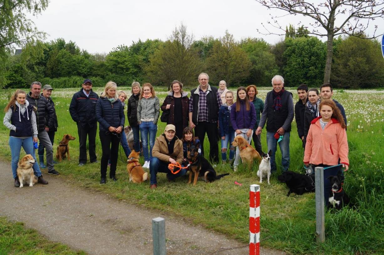 Hundehalter fordern mehr Auslauf für ihre Tiere — zu wenig Flächen in Neuss?