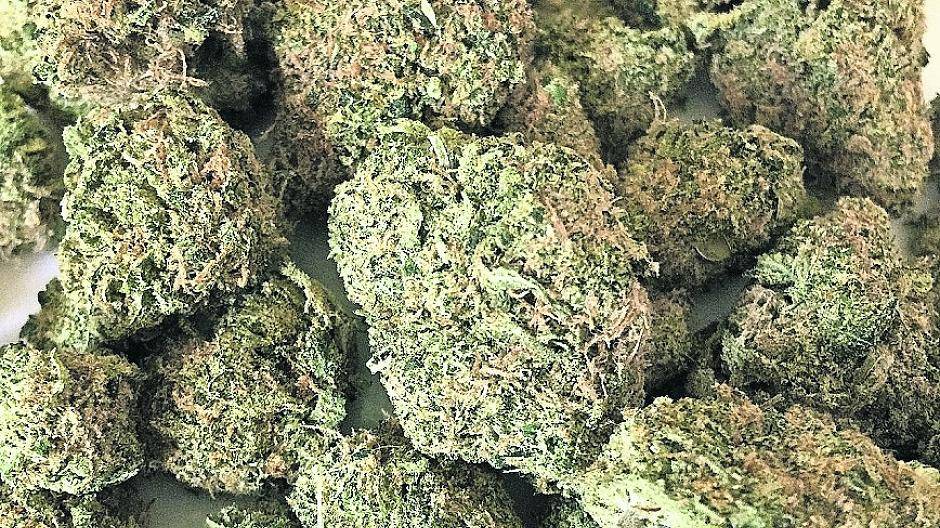 Drogen und „Dealgeld“ in Further Wohnung