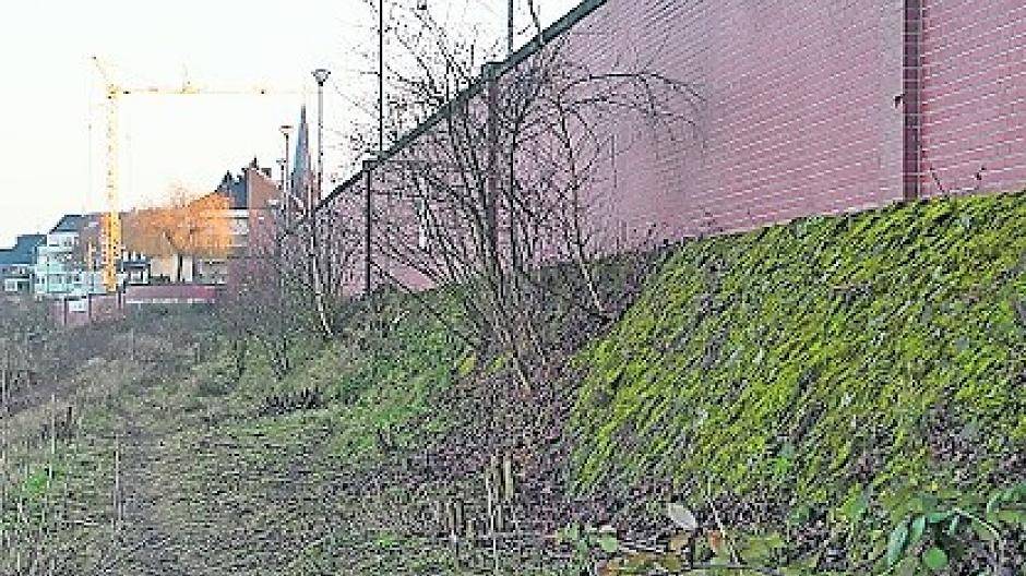 Bilanz nach einem Jahr: Haben die Grünflächen-Maßnahmen gegriffen?