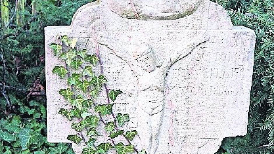 Bilanz nach einem Jahr: Haben die Grünflächen-Maßnahmen gegriffen?