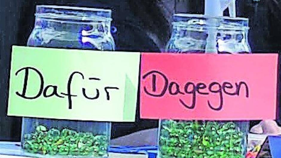 Abstimmungsergebnis: Wollen Neusser teure Kunstschenkung?