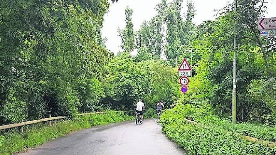 Es wuchert wieder in Neuss – nicht alle Stellen im Grünflächenamt sind besetzt