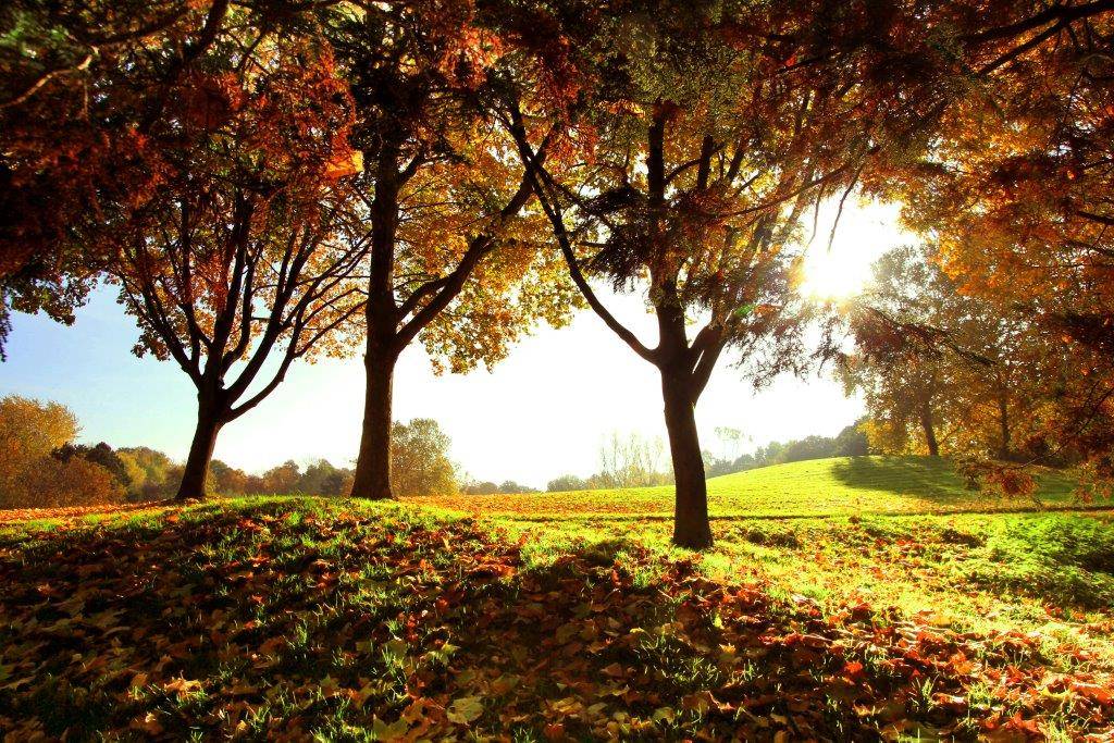 Sahnen Sie ab bei unserem großen Herbstgewinnspiel