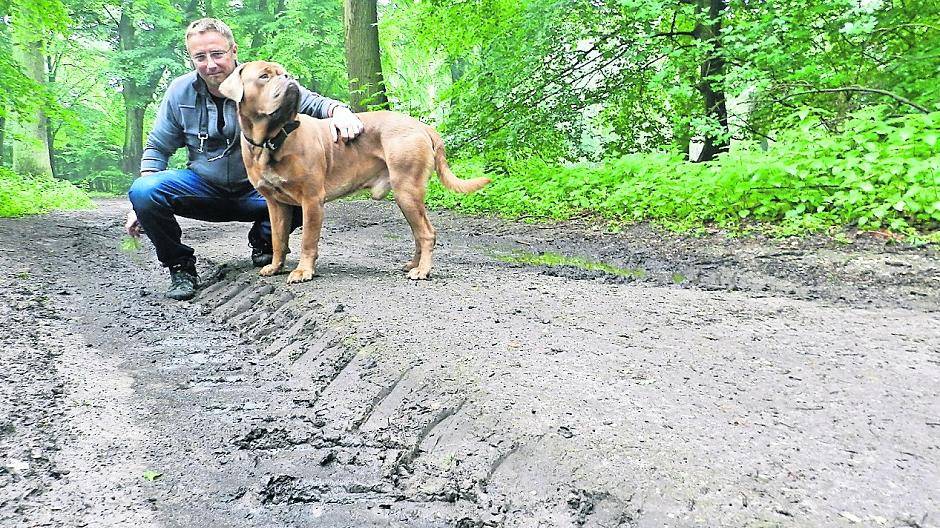  Christian Hernicke mit Hund Bo im Reuschenberger Busch. Noch immer kann man die tiefen Reifenspuren sehen, die die Oberfläche vieler Wege zerstörten. 