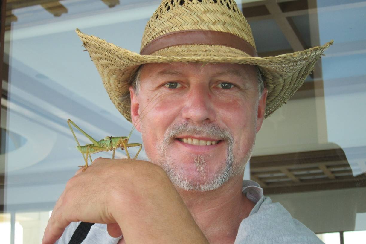 Würmer, Heuschrecken und Grillen auf dem Teller