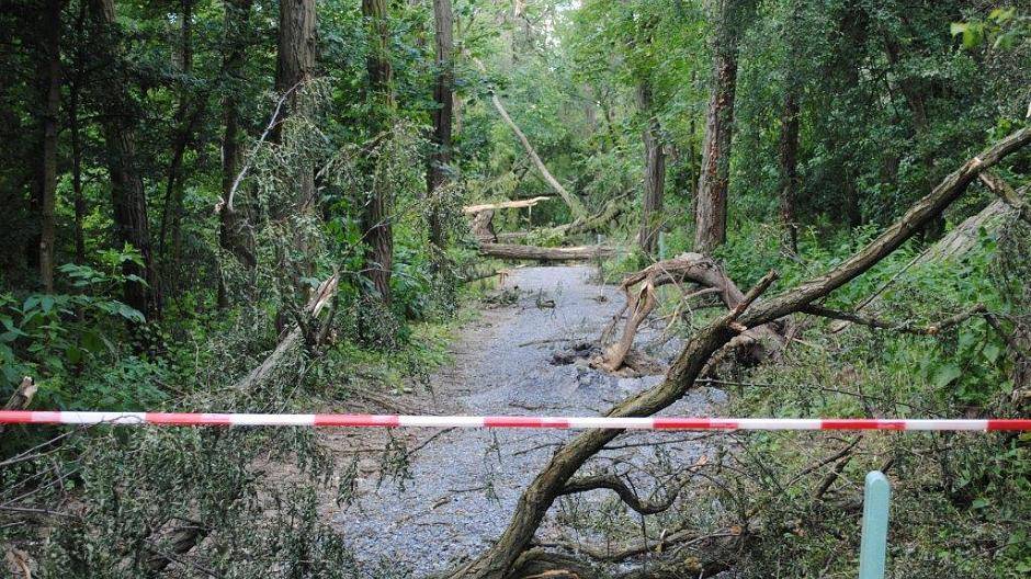 Vor einem Jahr verwüstete Ela Parks...