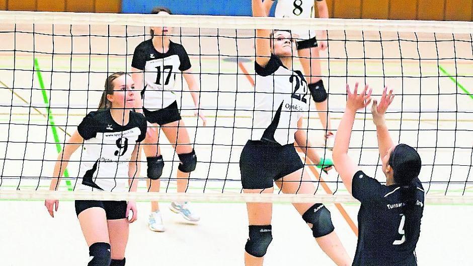 Volleyballer gesucht: vom Anfänger bis zum Profi