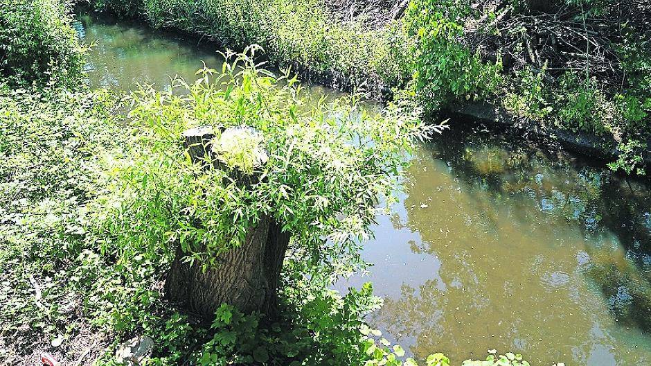 Nordkanal: Karis sieht eine „180-Grad-Drehung der CDU“