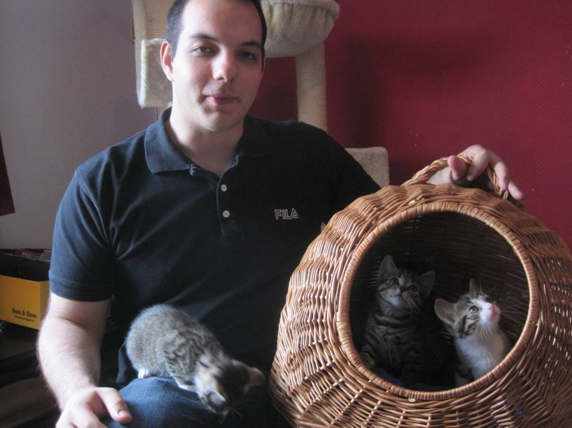 Die Katzenhilfe klärt über „herrenlose“ Katzen auf