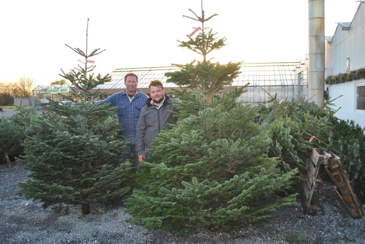 Sauerländer Tannenbäume und vieles mehr, gesehen bei…Blumenhof BakkerLanzerather...