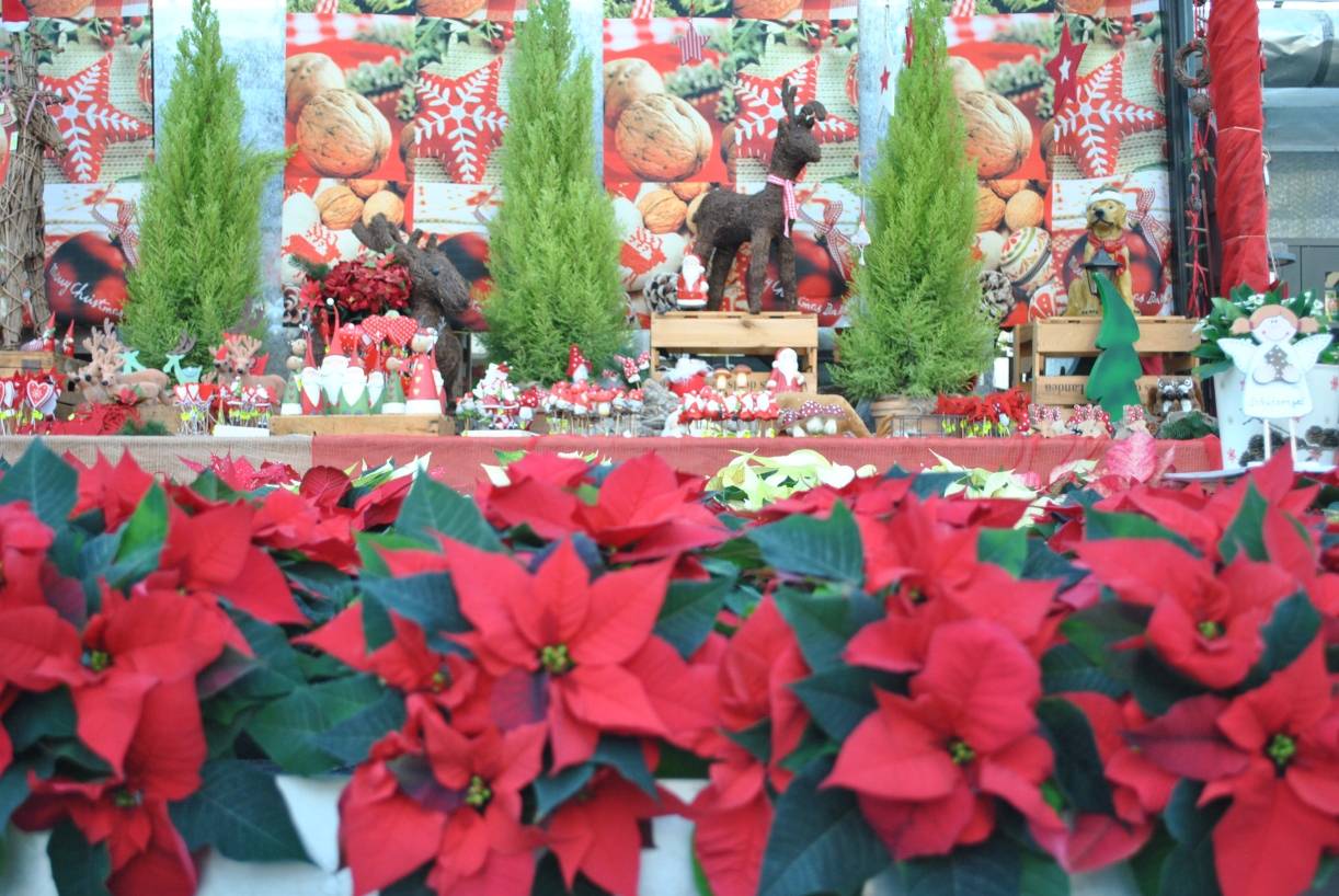 Vielfältige kreative Weihnachtsdekorationen, gesehen bei…Blumenhof BakkerLanzerather...