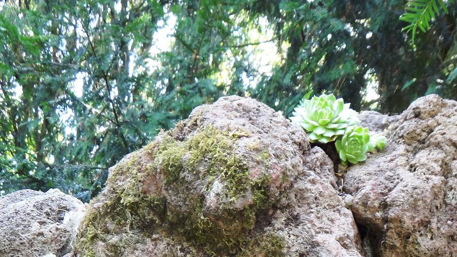 Die neue Mariengrotte auf dem Hof ist pünktlich zur Sonderausstellung fertig...