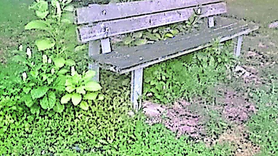 Stadt-Kurier-Leser sauer: „Grünflächen katastrophal“