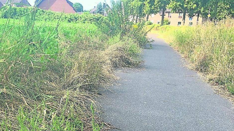 Blindes Rathaus: „Grünflächen in Neuss befinden sich in einem guten Zustand“