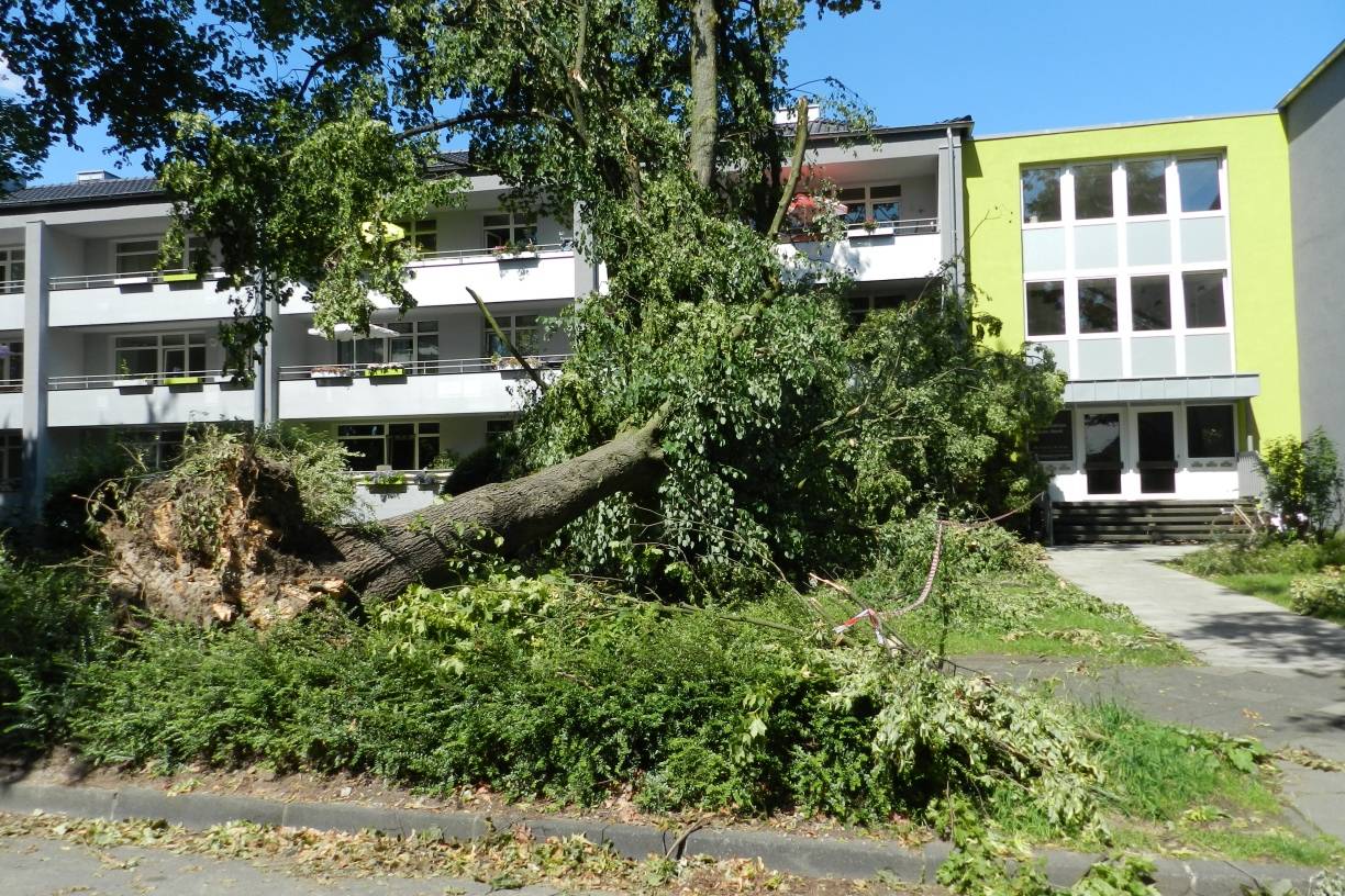  Am Wochenende werden starke Sturmböen erwartet - der Deutsche Wetterdienst und die Stadt Neuss warnen vor dem Betreten der öffentlichen Grünanlagen und Wälder. 