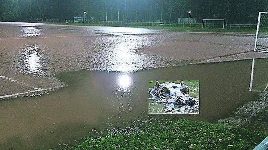 Kampf um Kunstrasenplatz: TSV Norf sucht weitere Unterstützer