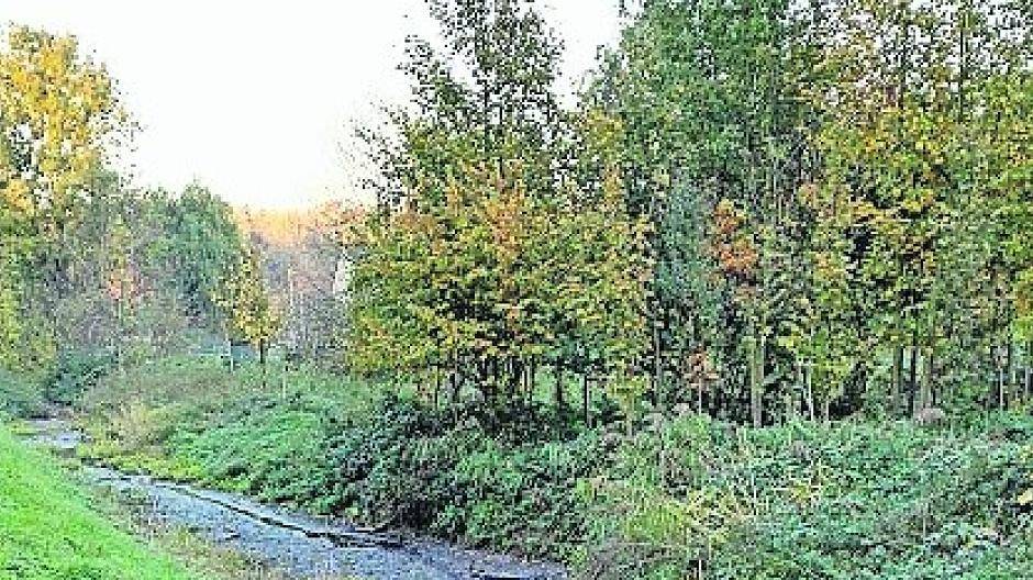 Ist der Norfbach noch zu retten?