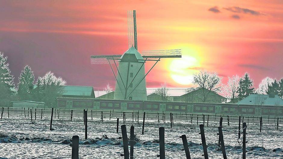 Mit Postkarten für den Spekulatiusmarkt werben