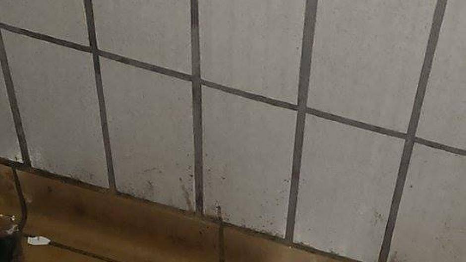 In der öffentlichen Toilette an der Bushaltestelle an der Augustinusstraße finden...