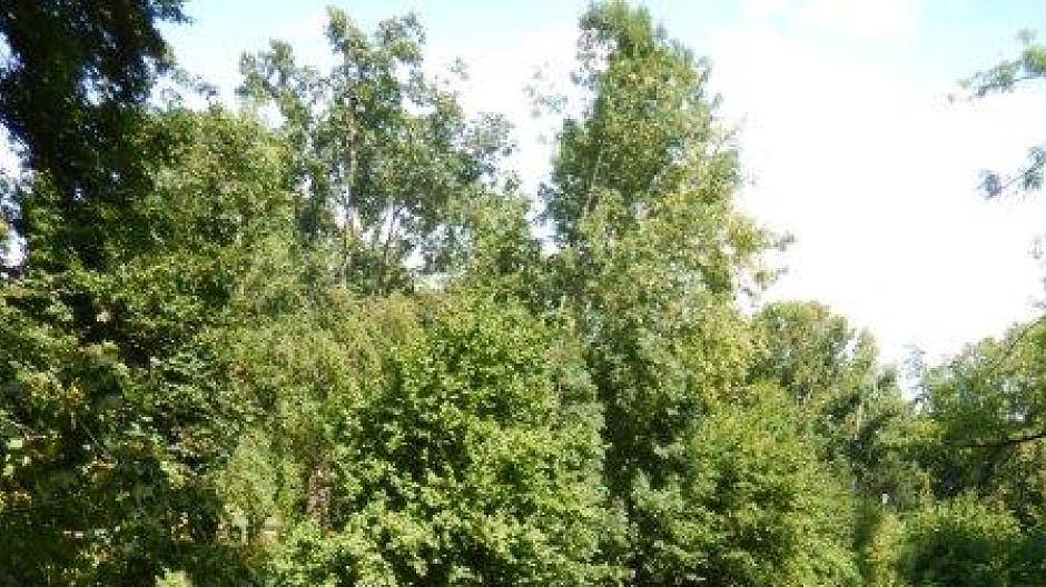 Leserin Christiane Moll berichtet: „Guten Tag, liebe Redaktion, hier ein paar Bilder...