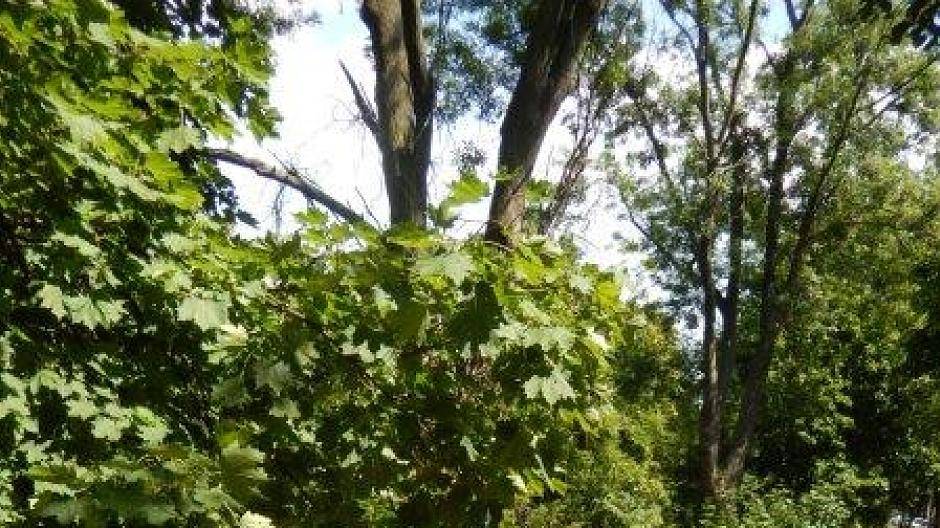 Leserin Christiane Moll berichtet: „Guten Tag, liebe Redaktion, hier ein paar Bilder...