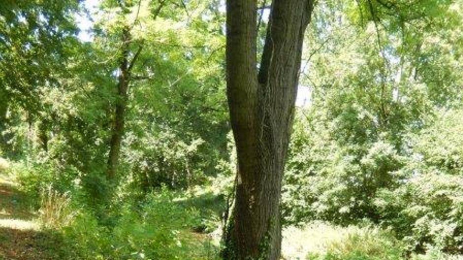 Leserin Christiane Moll berichtet: „Guten Tag, liebe Redaktion, hier ein paar Bilder...