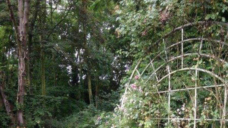 Helmut Wessels, der als Historischer Stadtführer „Christianus Wierstraet“ häufig...