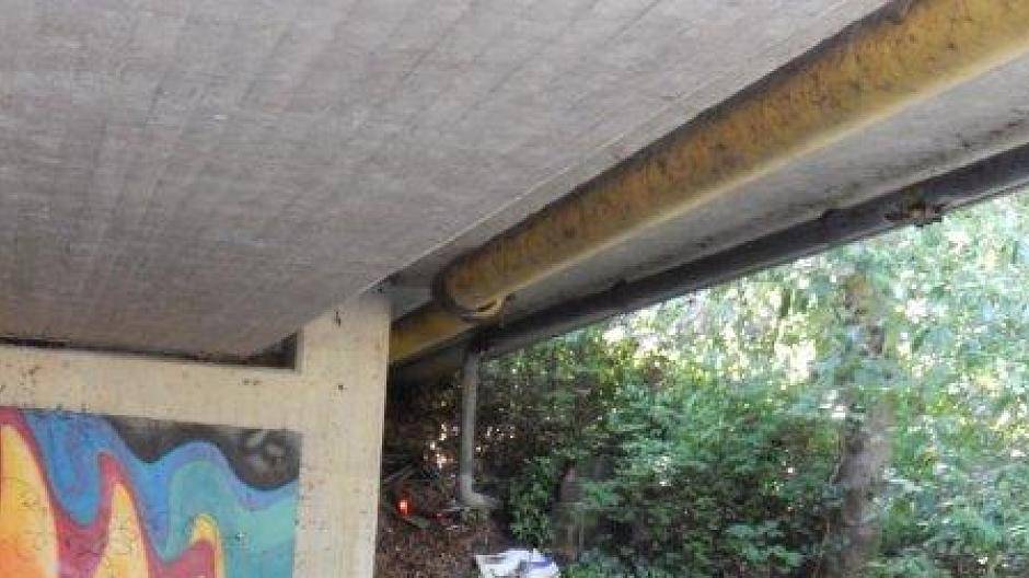 Leserin Christiane Moll berichtet: „Guten Tag, liebe Redaktion, hier ein paar Bilder...